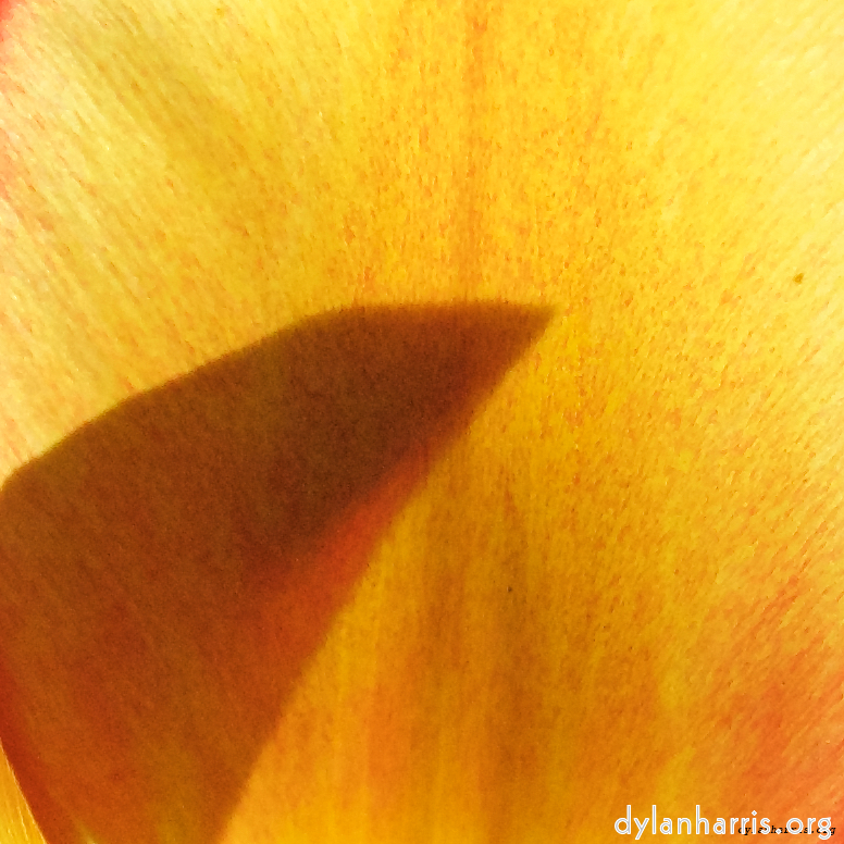 image: This is ‘
escher blummen (l) 4
’.