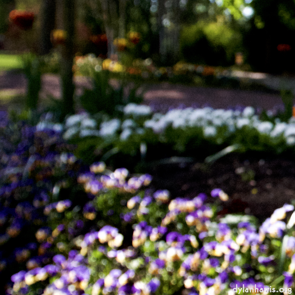 image: This is ‘
parc (xiv) 1
’.