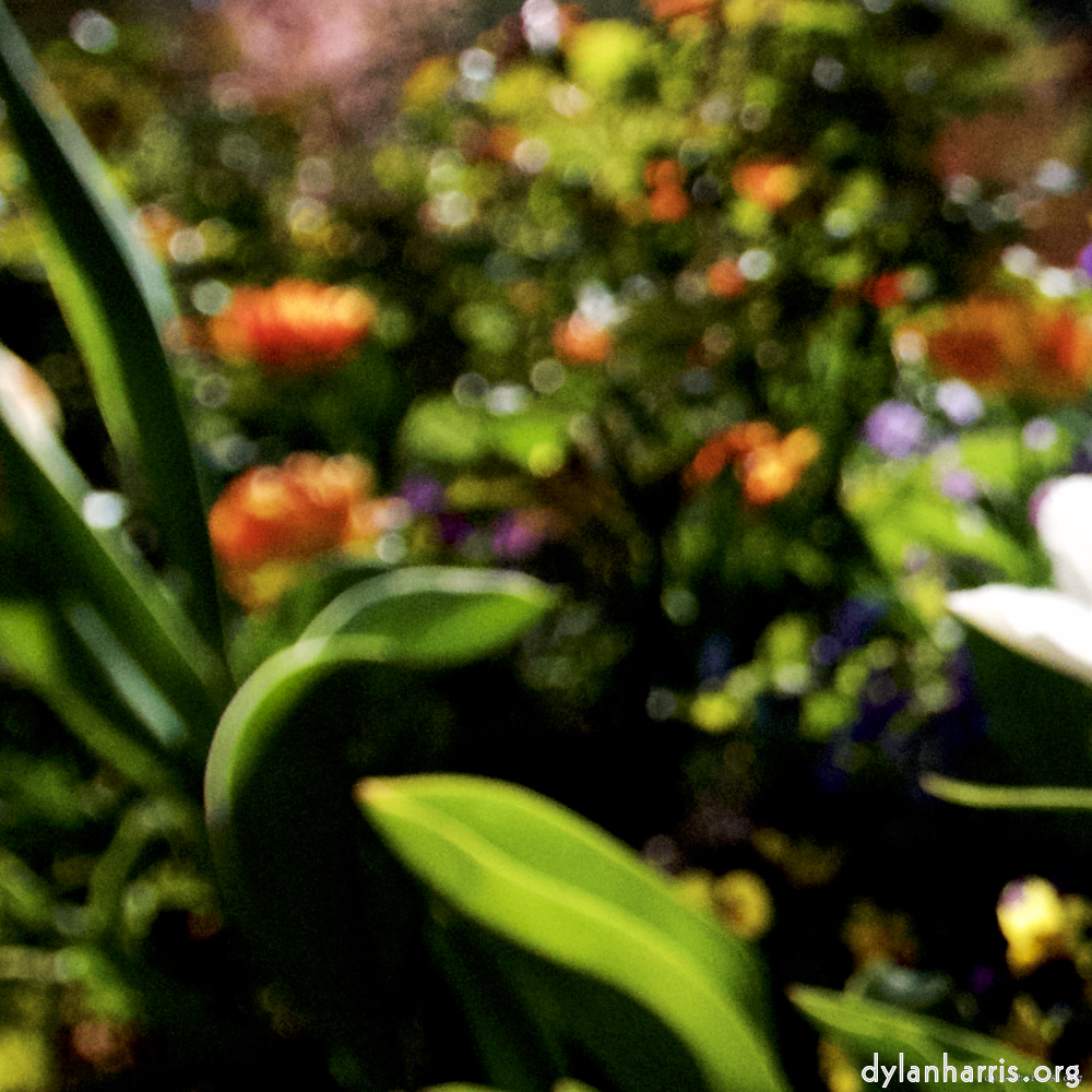 image: This is ‘
parc (xiv) 4
’.