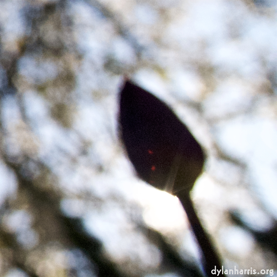 image: This is ‘
parc (xiv) 5
’.