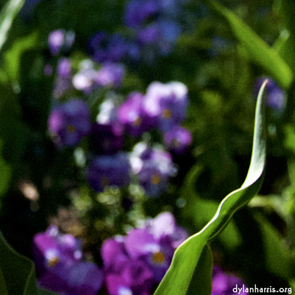 image: This is ‘
parc (xiv) 6
’.