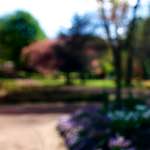 image: Image from the photoset ‘
parc (xiv)
’.