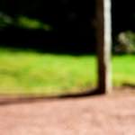 Image: Fifth image from the photoset 'parc (xv)'.