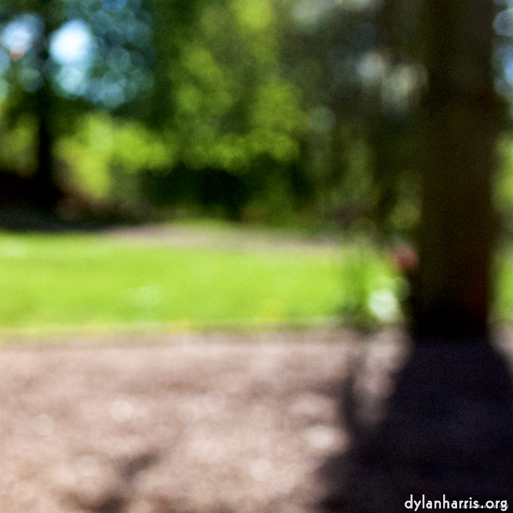 Image: Image 'parc (xvi) 1'.