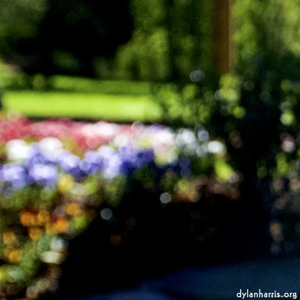 Image: Image 'parc (xvi) 3'.