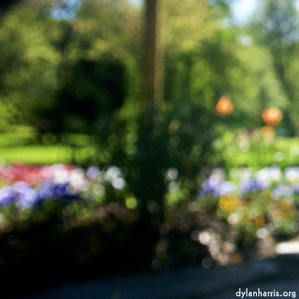 Image: Image 'parc (xvi) 7'.