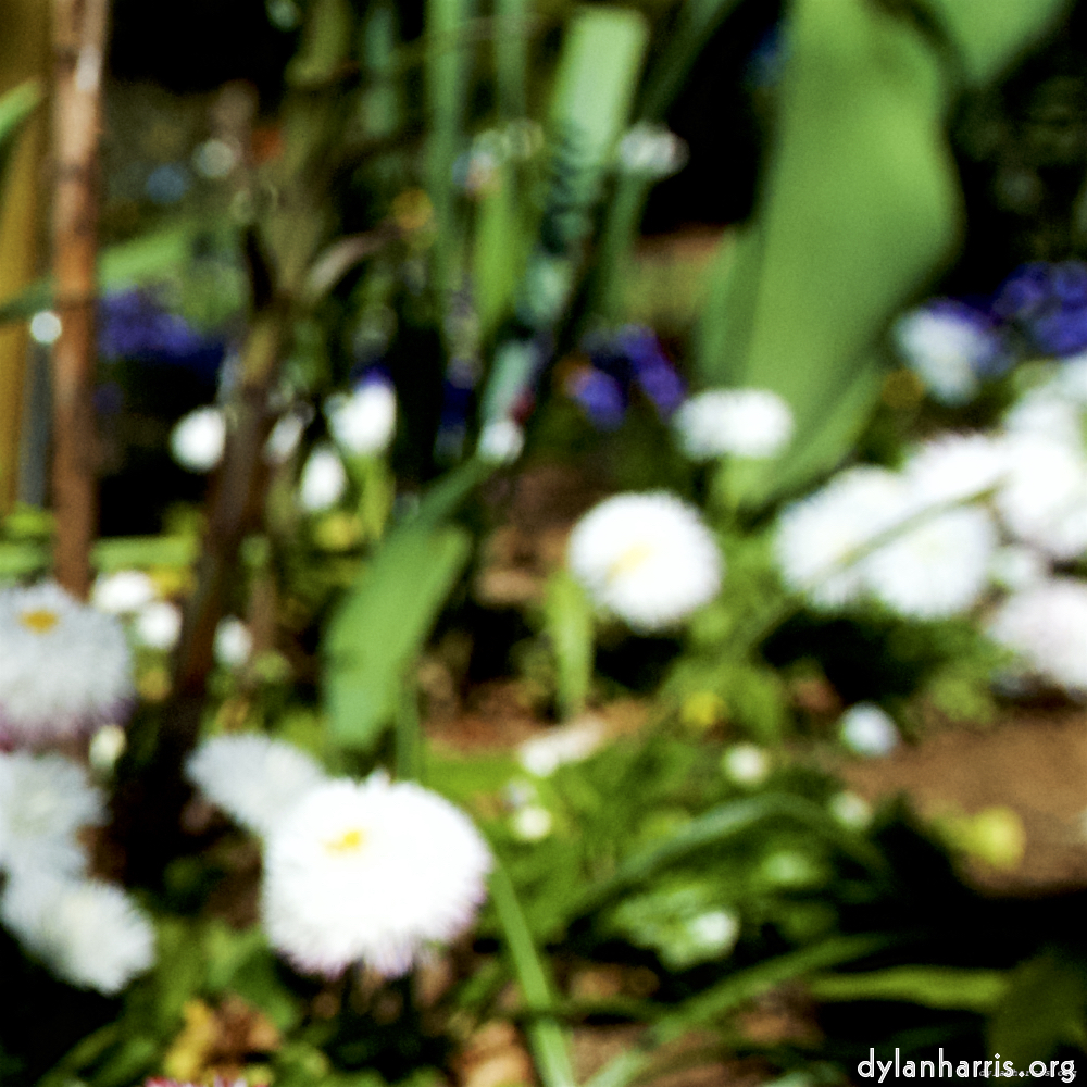 image: This is ‘
parc (xvii) 9
’.