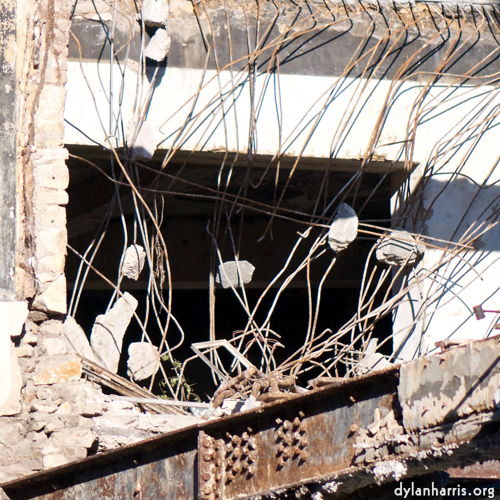 Image: Image 'escher blummen (xcvi) 5'.