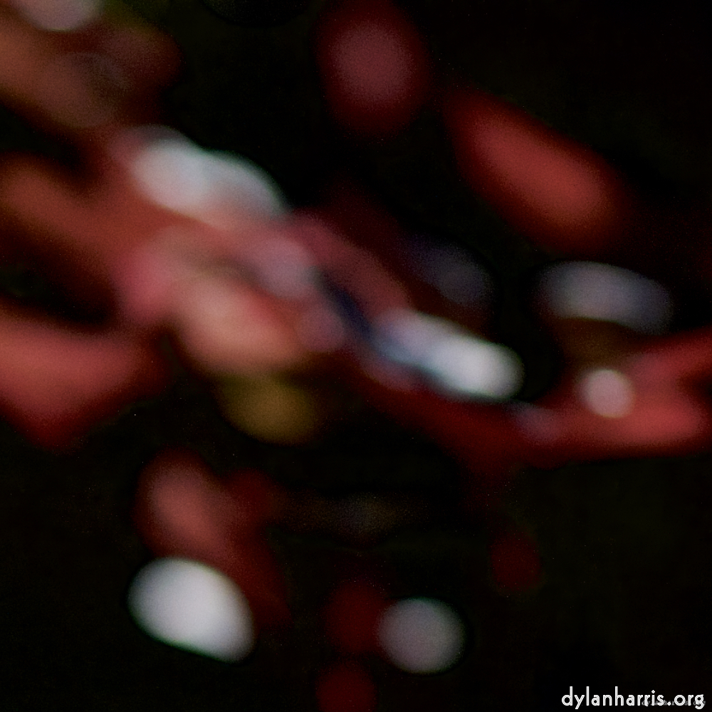 Image: Image 'escher blummen (cii) 2'.