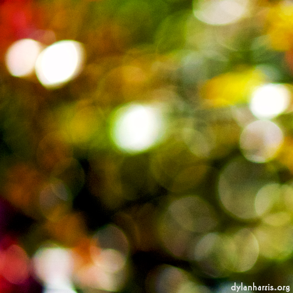 Image: Image 'escher blummen (cii) 4'.