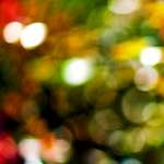 Image: Fourth image from the photoset 'escher blummen (cii)'.