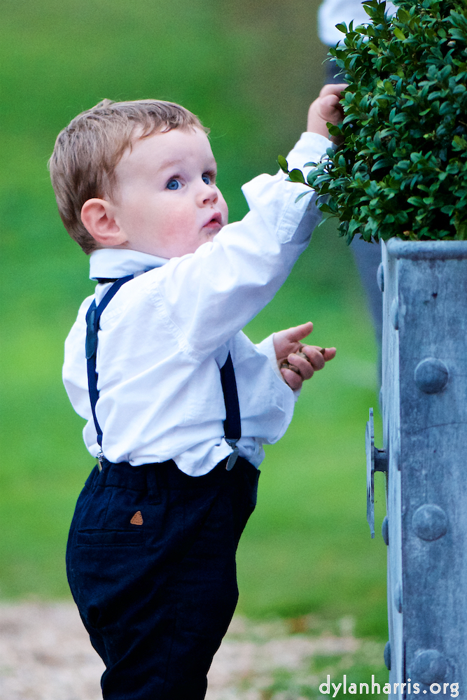 Image: Image 'family (xx) 4'.