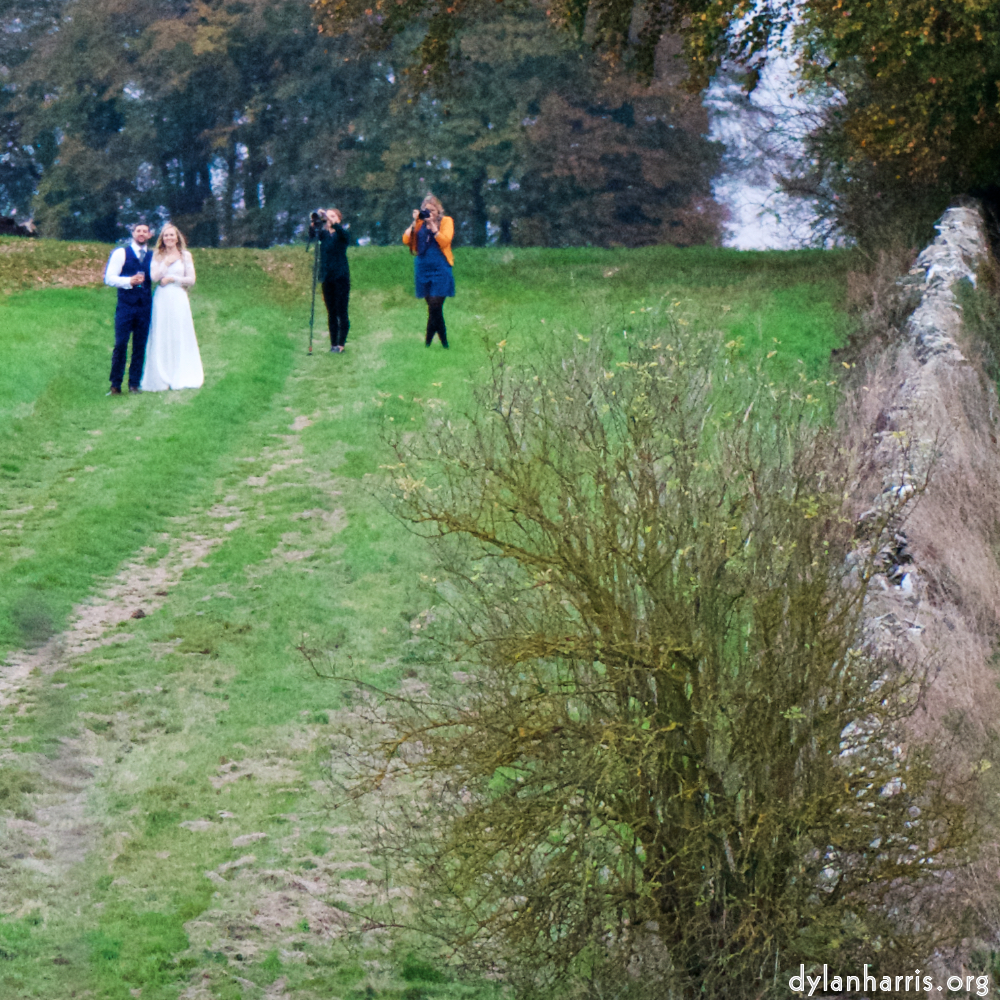 Image: Image 'family (xxii) 3'.