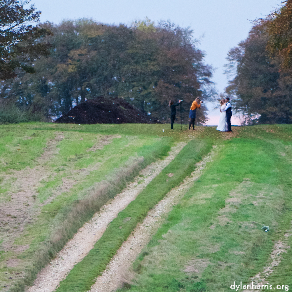 Image: Image 'family (xxii) 4'.