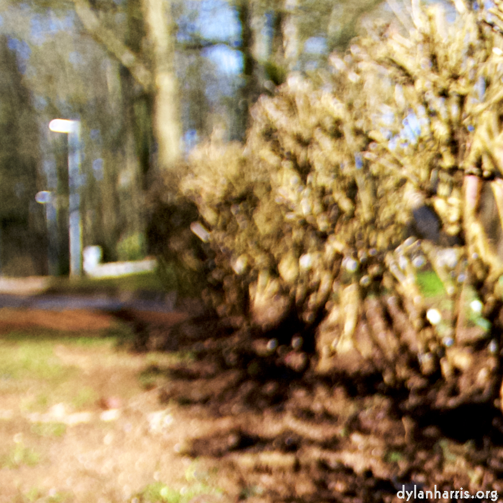 image: This is ‘
parc (xxiii) 2
’.