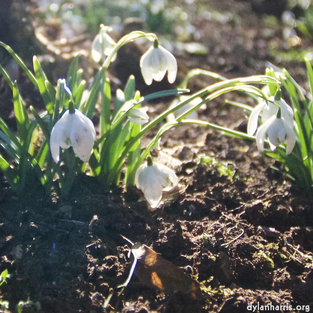 image: This is ‘
parc (xxiii) 3
’.