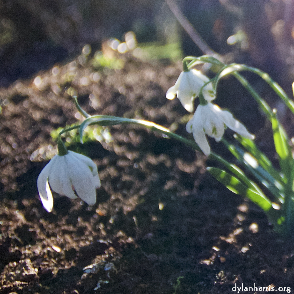 image: This is ‘
parc (xxiii) 6
’.