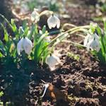 image: Image from the photoset ‘
parc (xxiii)
’.