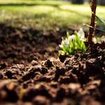 image: Image from the photoset ‘
parc (xxiii)
’.