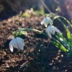 image: Image from the photoset ‘
parc (xxiii)
’.