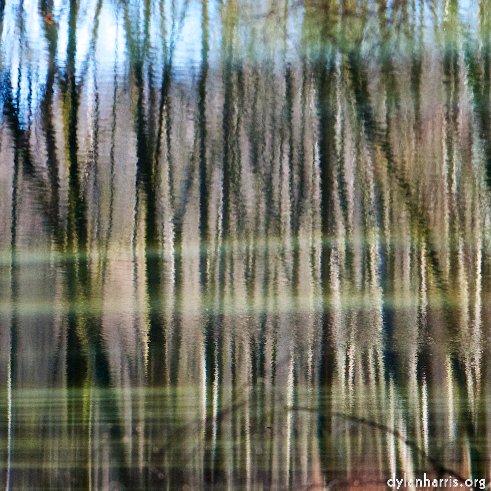 image: This is ‘
wood (xxxii) 7
’.