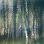 image: Image from the photoset ‘
wood (xxxii)
’.