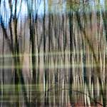 image: Image from the photoset ‘
wood (xxxii)
’.