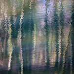 image: Image from the photoset ‘
wood (xxxii)
’.