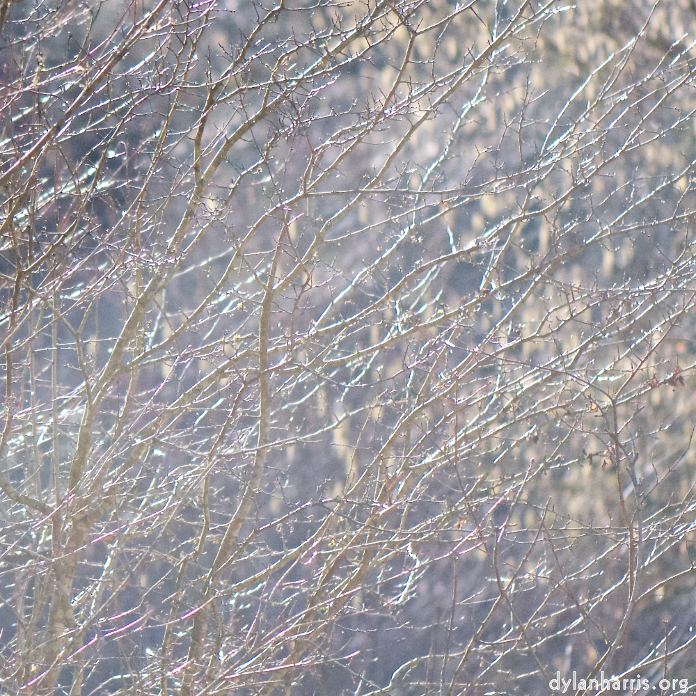 image: This is ‘
texture (iv) 1
’.