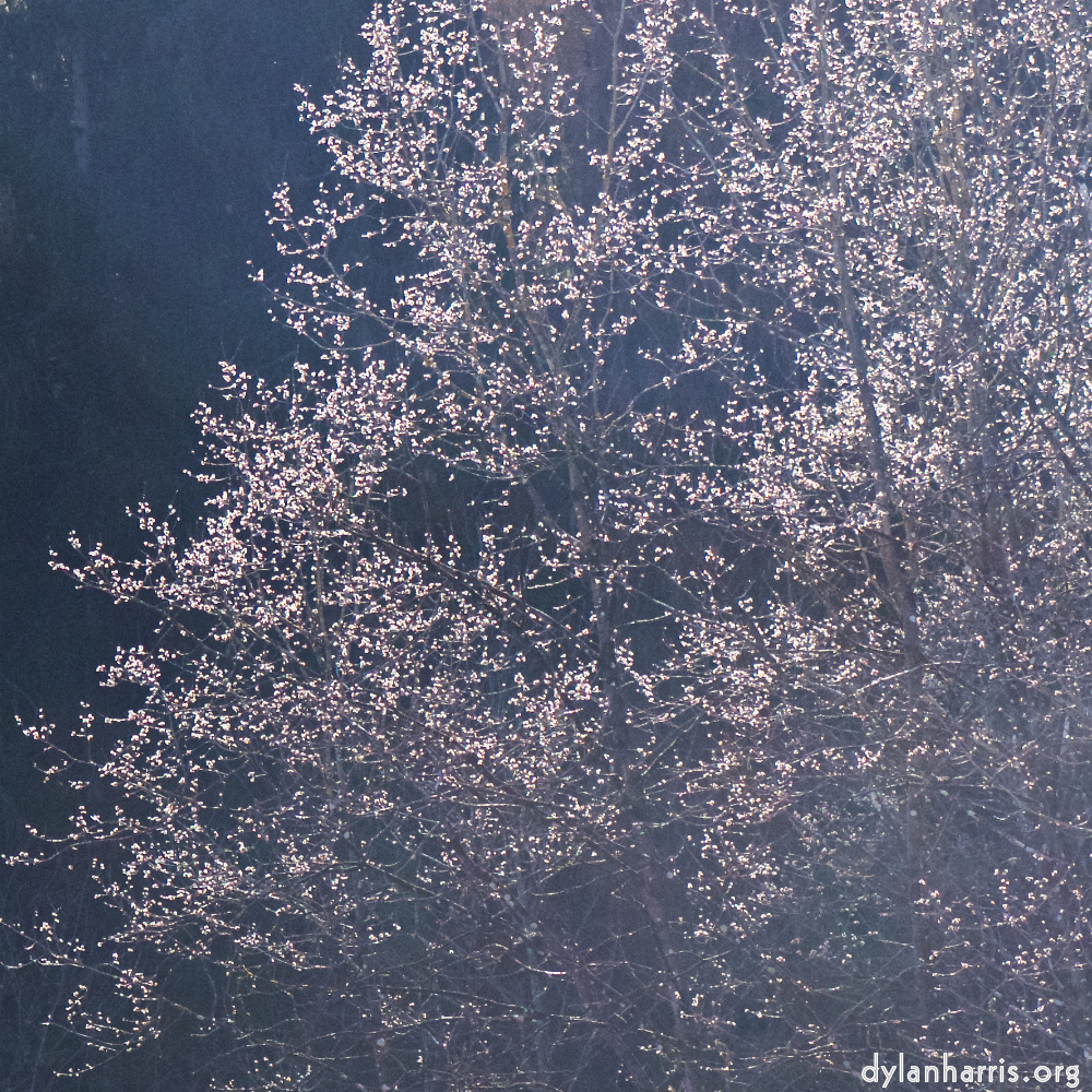 image: This is ‘
texture (iv) 2
’.