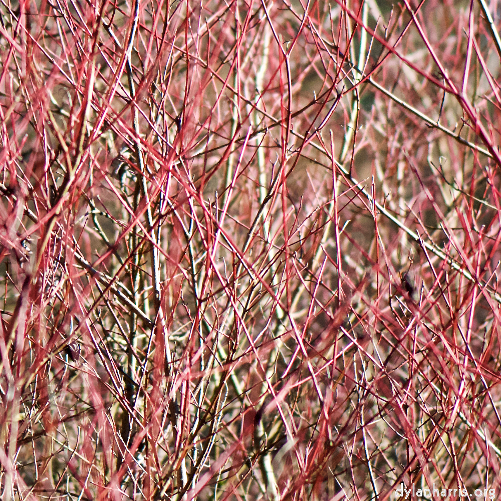 image: This is ‘
texture (iv) 3
’.