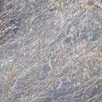 image: texture (iv) photoset