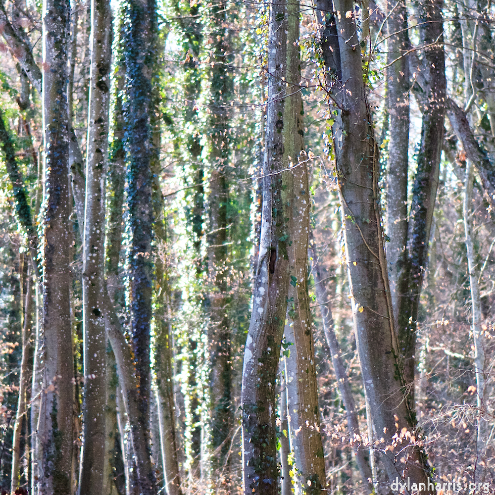 image: Image 'terres rouges (viii) 1'