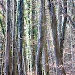 image: Image du photoset ‘terres rouges (viii)’.