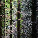 image: Image du photoset ‘terres rouges (viii)’.