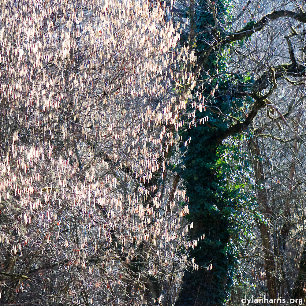 image: This is ‘
terres rouges (ix) 5
’.