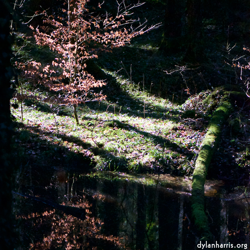 image: Image 'terres rouges (ix) 6'