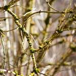 image: Image from the photoset ‘
terres rouges (ix)
’.