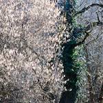 image: Image from the photoset ‘
terres rouges (ix)
’.