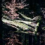 image: Image from the photoset ‘
terres rouges (ix)
’.