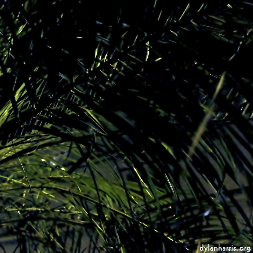 Image 'ivy writers 5'.