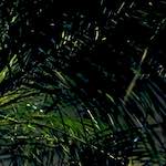 Image: Fifth image from the photoset 'ivy writers'.