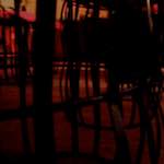 Image: Sixth image from the photoset 'ivy writers'.