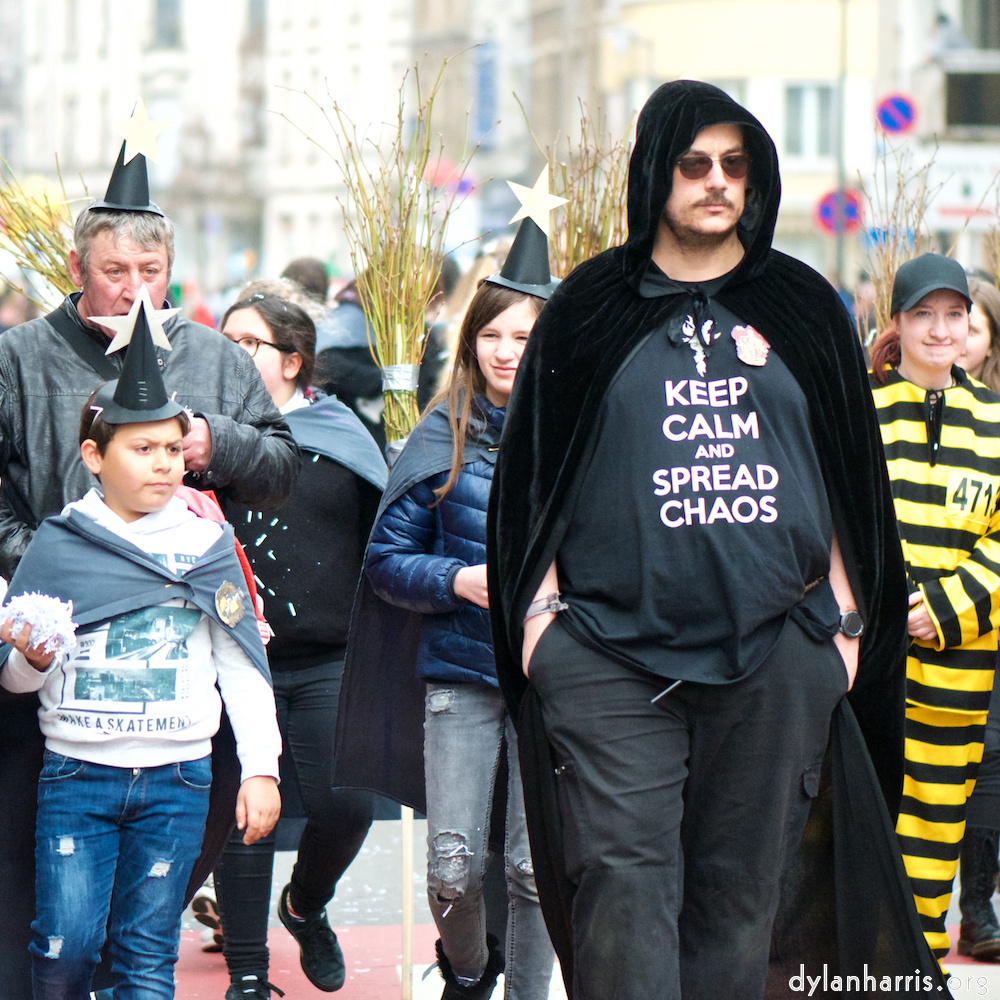 image: Image 'esch–sur–alzette (xxiv) 5', of daffodils.