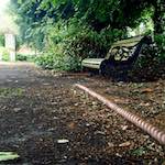 Image: Sixth image from the photoset 'archipelago'.