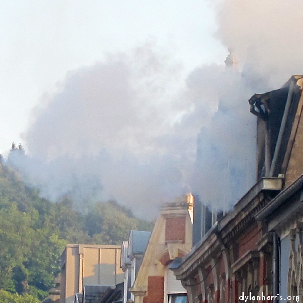 Image: Image 'esch–sur–alzette (xviii) 2', at Escher Déiereesch, head and torso of a doe.