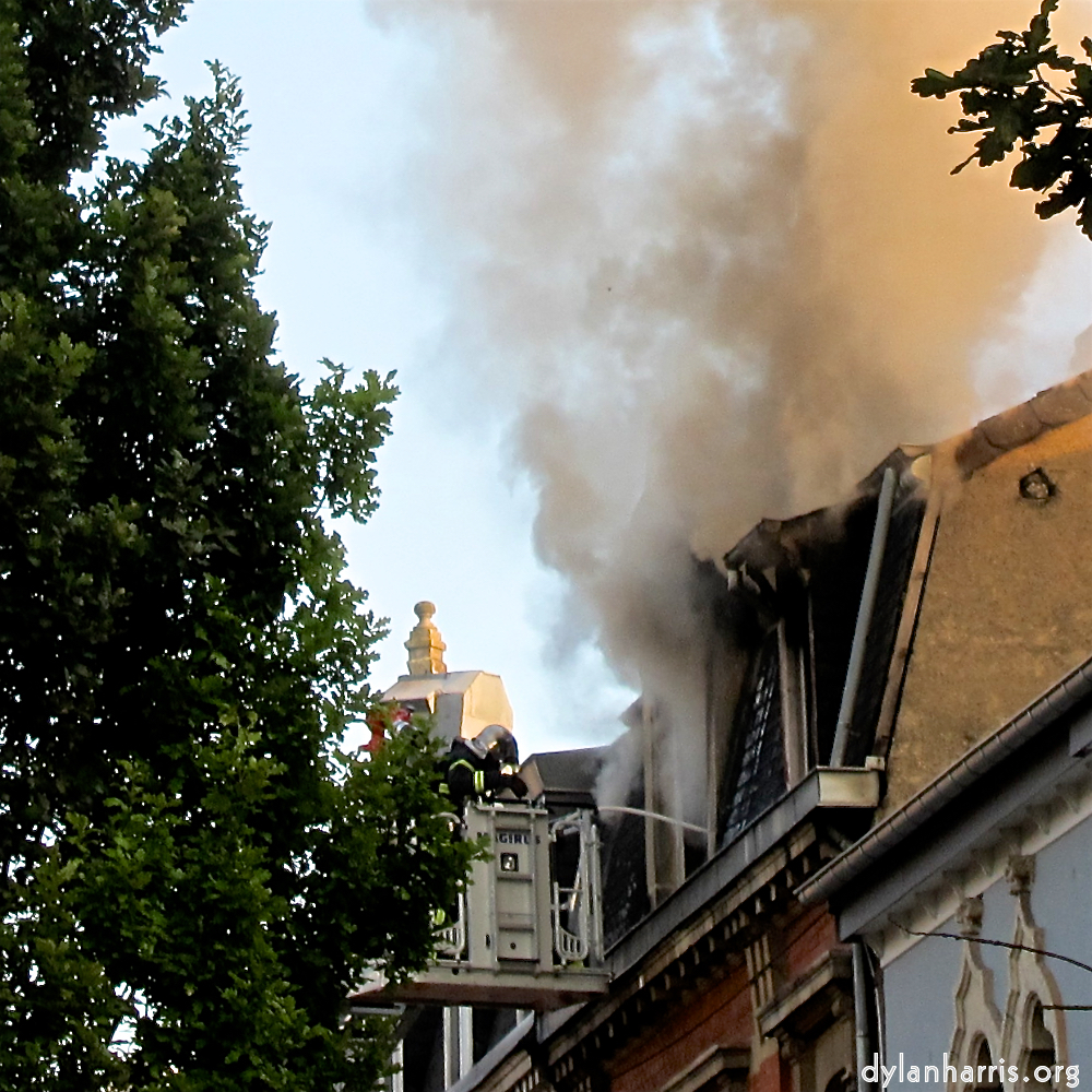Image: Image 'esch–sur–alzette (xviii) 3', at Escher Déiereesch, the head and crest of a chicken.