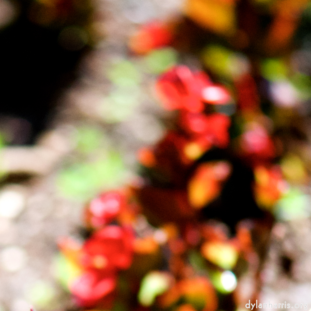 image: This is ‘
parc (xxxix) 1
’.