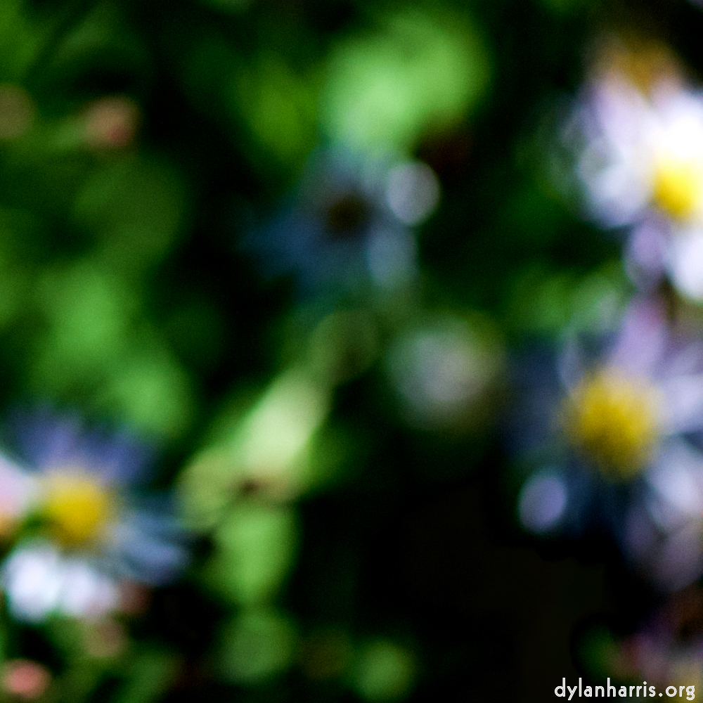 image: This is ‘
parc (xxxix) 3
’.