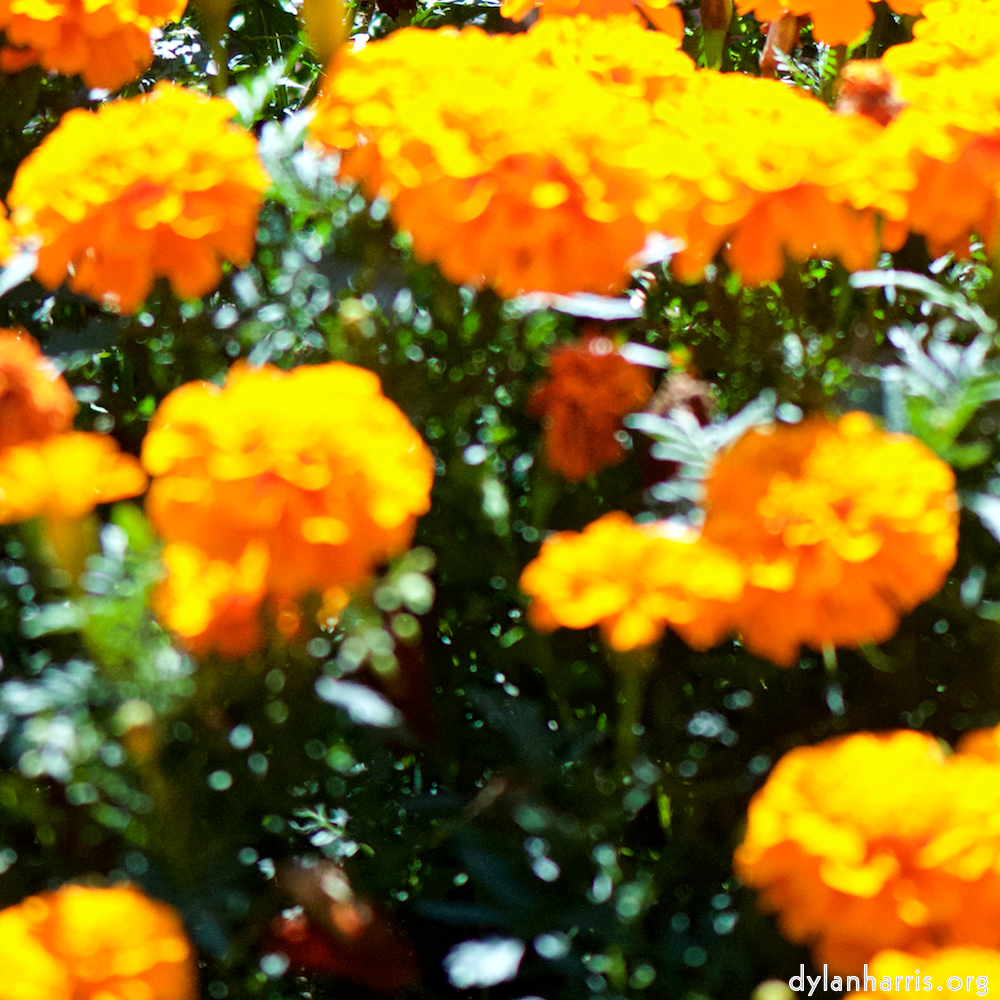 image: This is ‘
parc (xxxix) 5
’.